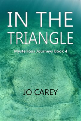 Cover image for In the Triangle