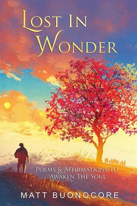 Cover image for Lost In Wonder