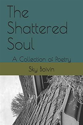 Cover image for The Shattered Soul