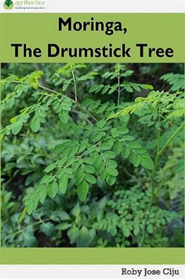 Cover image for The Drumstick Tree Moringa