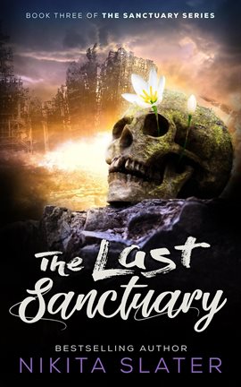 Cover image for The Last Sanctuary