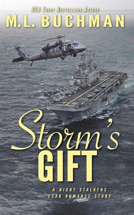 Cover image for Storm’s Gift: A Military Romantic Suspense Story