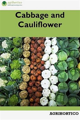 Cover image for Cabbage and Cauliflower