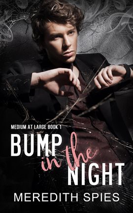 Imagen de portada para Bump in the Night