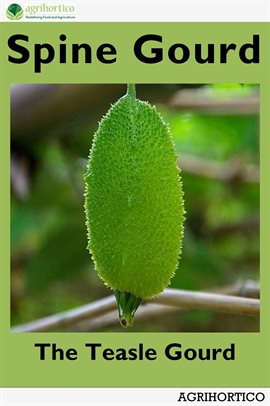 Cover image for Spine Gourd: The Teasle Gourd