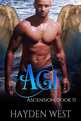 Cover image for Agi