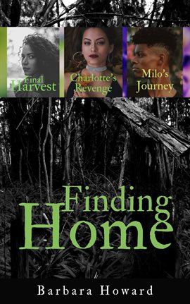 Cover image for Finding Home Mystery Series