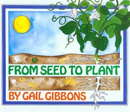 From Seed to Plant