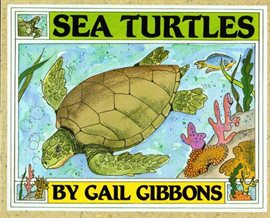 Cover image for Sea Turtles