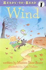 Cover image for Wind