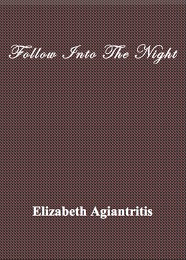 Cover image for Follow Into The Night