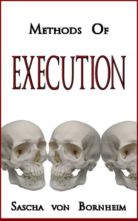 Cover image for Methods of Execution