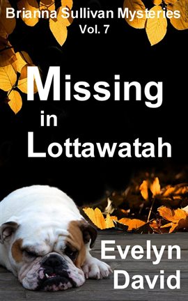 Cover image for Missing in Lottawatah