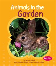 Cover image for Animals in the Garden