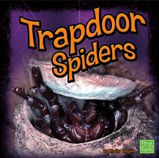 Cover image for Trapdoor Spiders