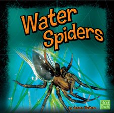 Cover image for Water Spiders