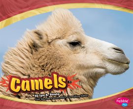 Cover image for Camels