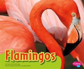 Cover image for Flamingos