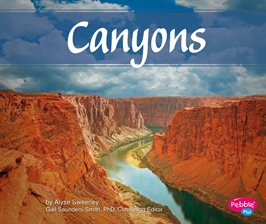 Cover image for Canyons