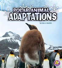 Imagen de portada para Polar Animal Adaptations
