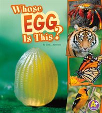 Imagen de portada para Whose Egg Is This?
