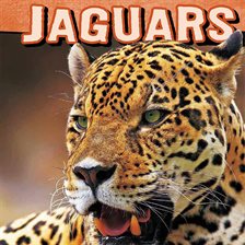 Cover image for Jaguars