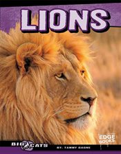 Cover image for Lions