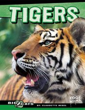 Cover image for Tigers