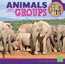 Cover image for Animals That Live in Groups