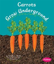 Cover image for Carrots Grow Underground