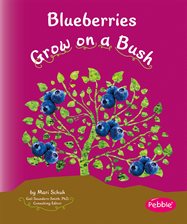 Cover image for Blueberries Grow on a Bush