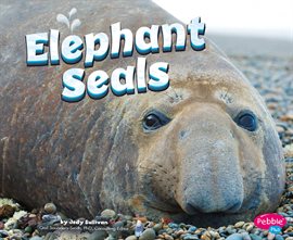 Cover image for Elephant Seals