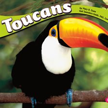 Cover image for Toucans