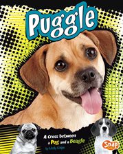 Cover image for Puggle