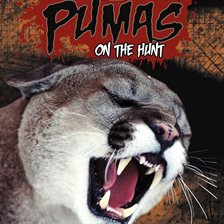 Cover image for Pumas