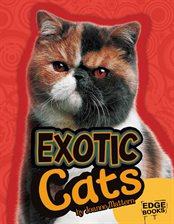 Cover image for Exotic Cats