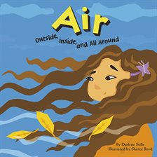 Cover image for Air