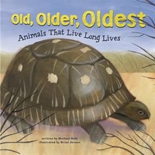 Cover image for Old, Older, Oldest