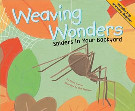 Cover image for Weaving Wonders
