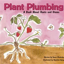 Cover image for Plant Plumbing