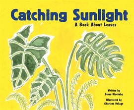 Cover image for Catching Sunlight