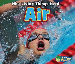 Cover image for Air