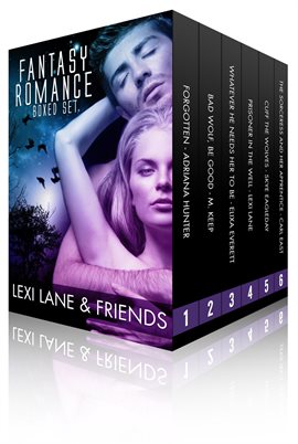 Cover image for Fantasy Romance Collection (Paranormal Fantasy Romance Boxed Set)