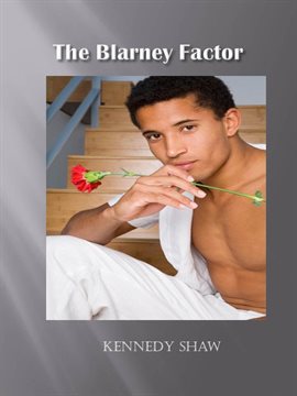 Cover image for The Blarney Factor