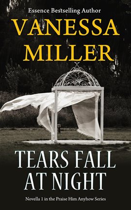 Cover image for Tears Fall at Night
