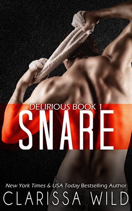 Cover image for Snare (Delirious)