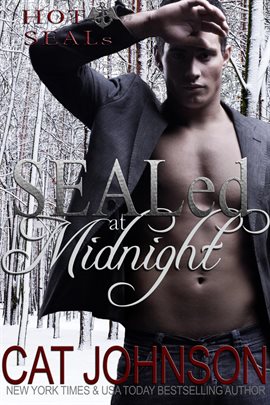 Cover image for SEALed at Midnight
