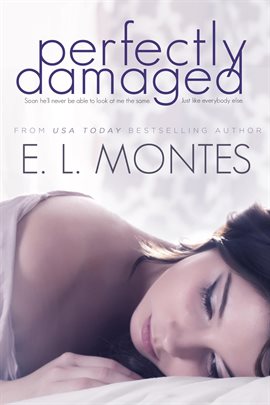 Imagen de portada para Perfectly Damaged