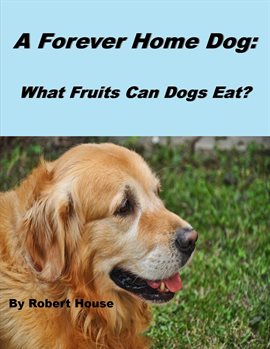 Cover image for A Forever Home Dog: What Fruits Can Dogs Eat?