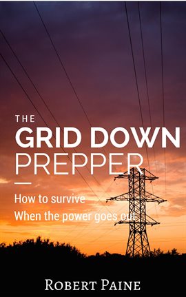 Imagen de portada para The Grid Down Prepper: How to survive when the power goes out